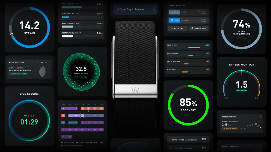 WHOOP raises $575m at $10.1bn valuation, signals IPO ahead